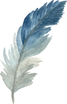 Watercolor Feather Illustration